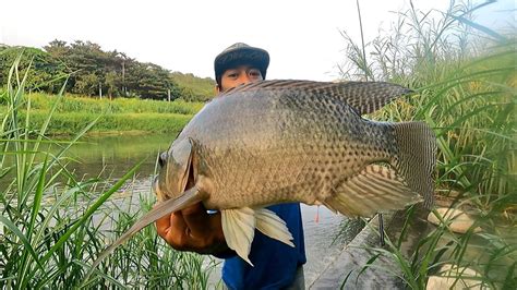 mancing ikan nila